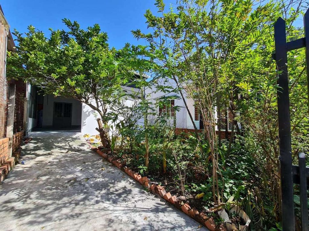 4648640 ảnh đại diện 1