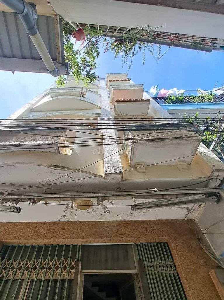 4648231 ảnh đại diện 1