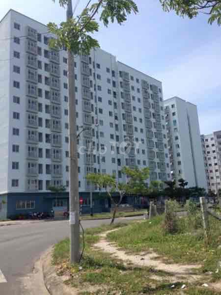 4646598 ảnh đại diện 2