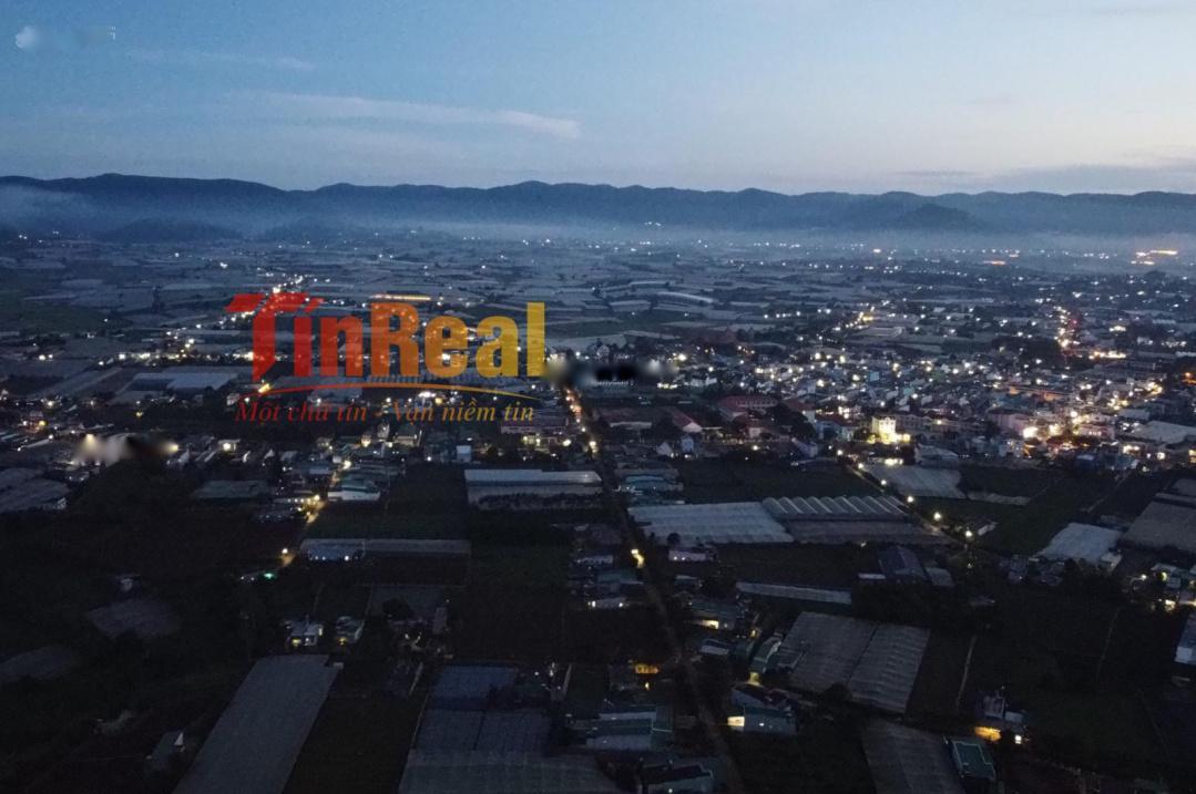 4646572 ảnh đại diện 2