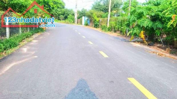 4646927 ảnh đại diện 1