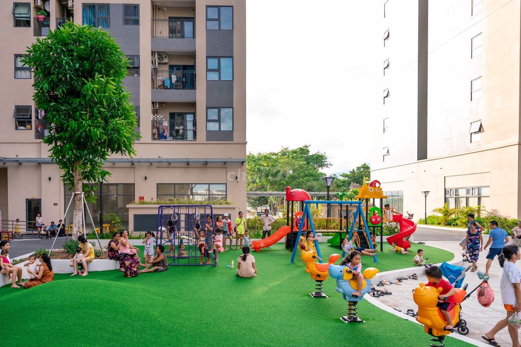 4648811 ảnh đại diện 1