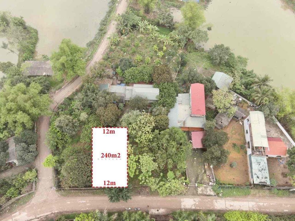 4648433 ảnh đại diện 1