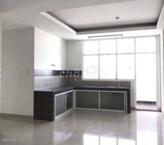 4648945 ảnh đại diện 2