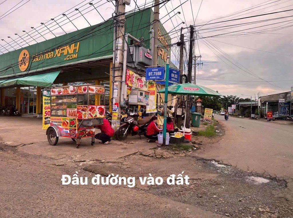 4646387 ảnh đại diện 1