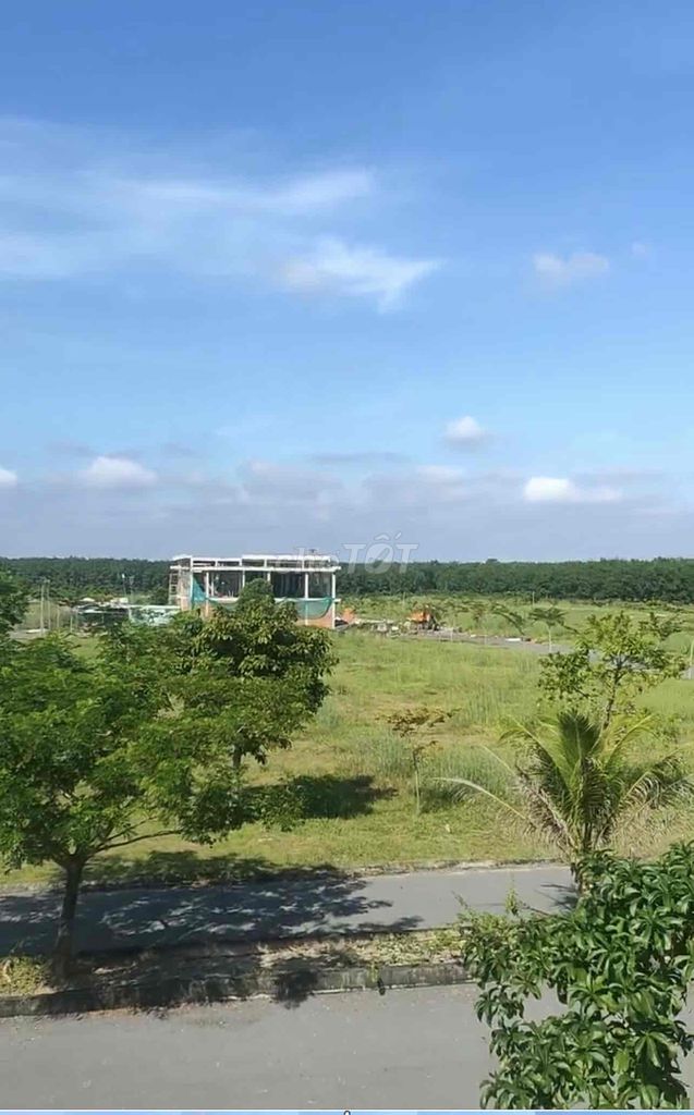 4648406 ảnh đại diện 2
