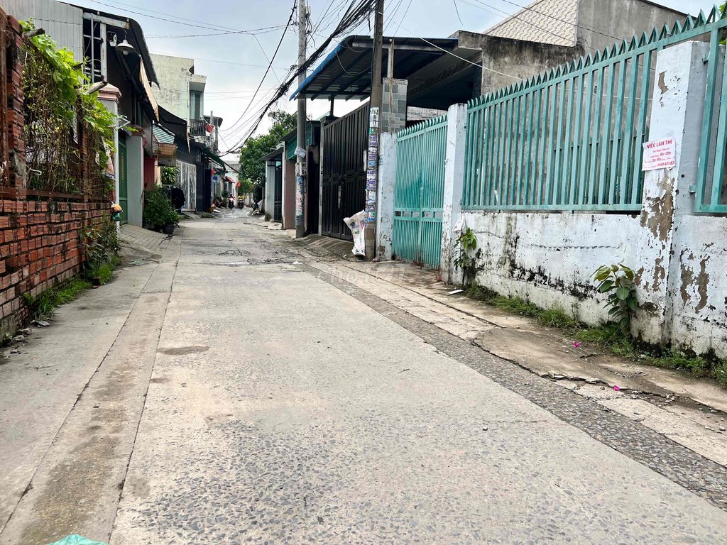 4648272 ảnh đại diện 1