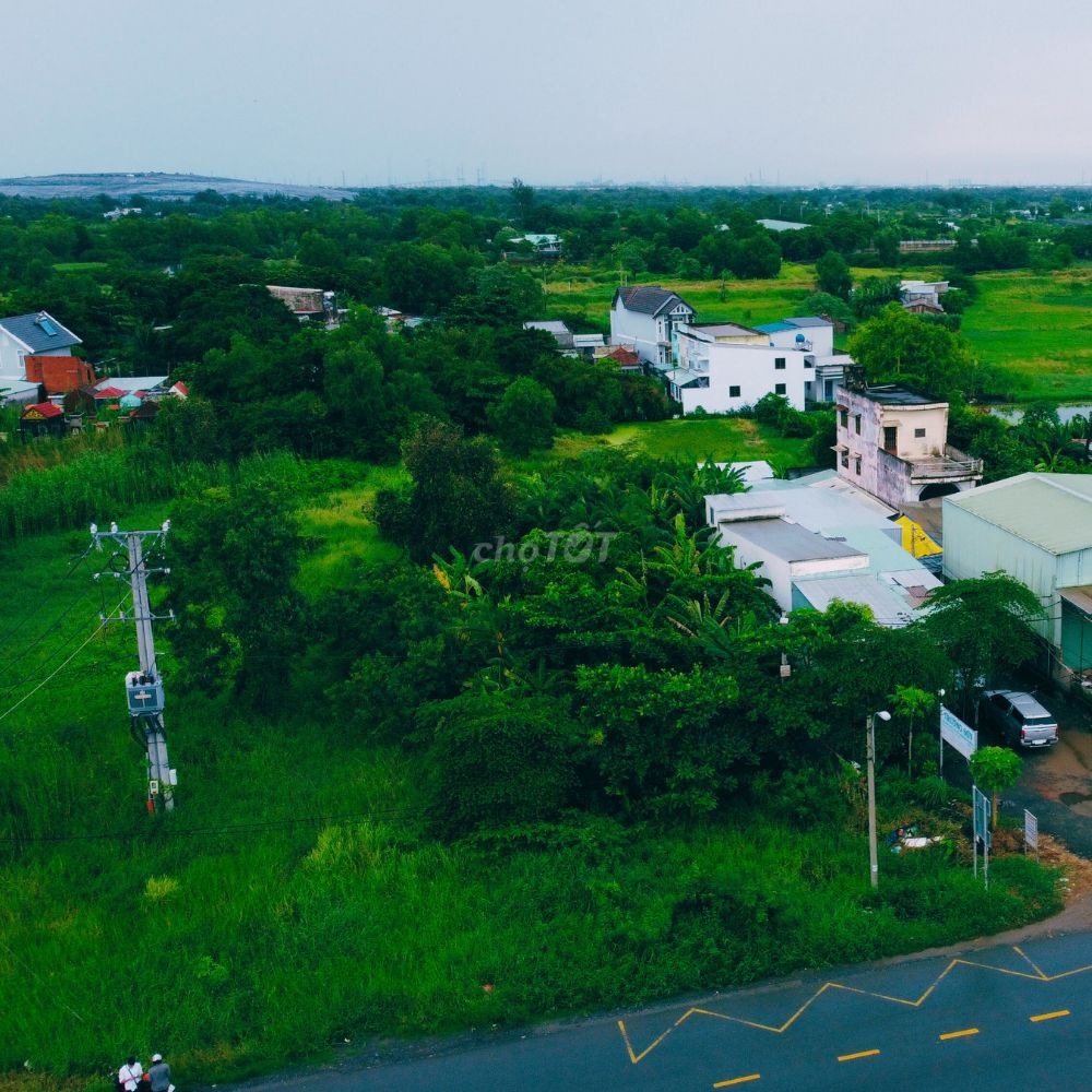 4646237 ảnh đại diện 2