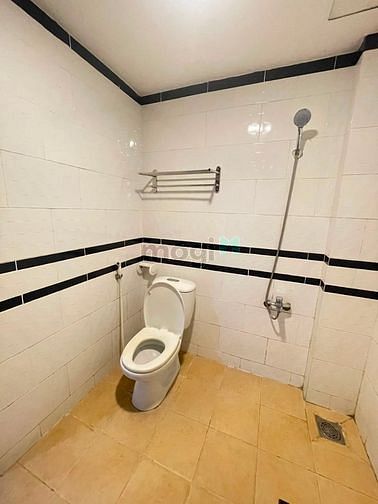 4648797 ảnh đại diện 1
