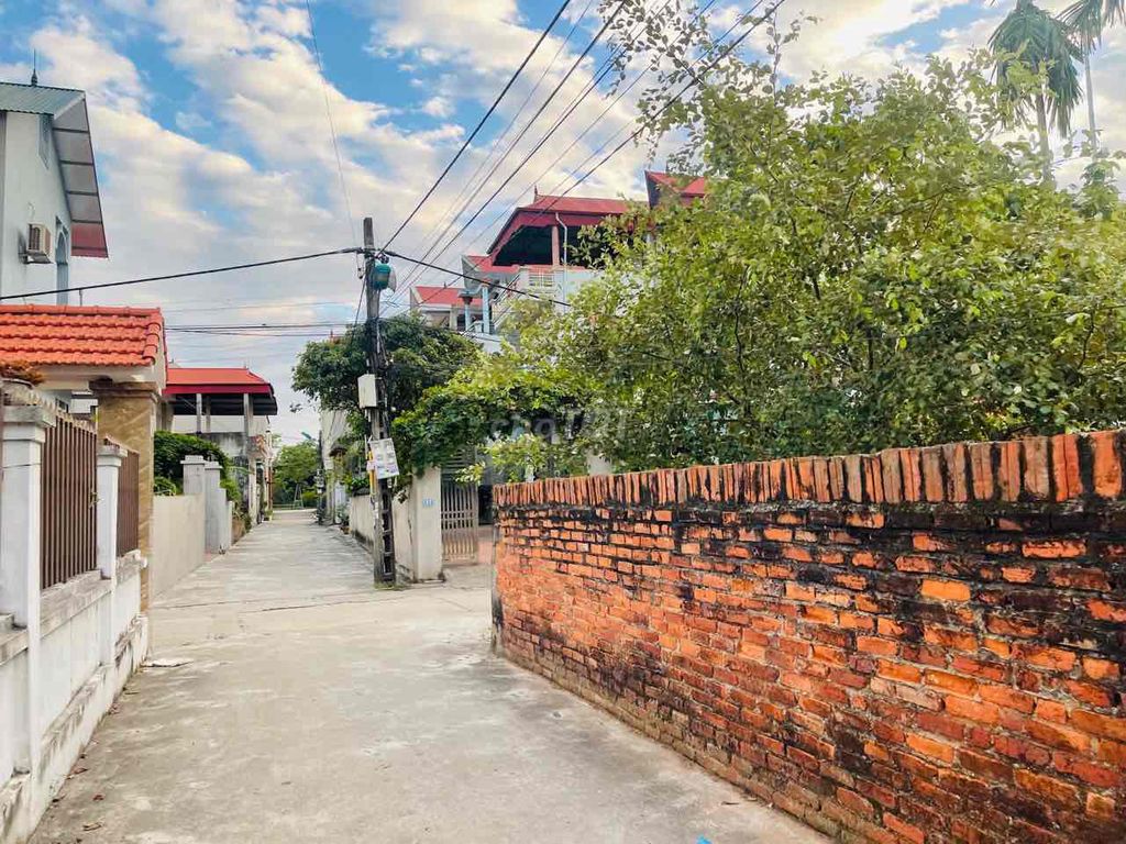 4648744 ảnh đại diện 2