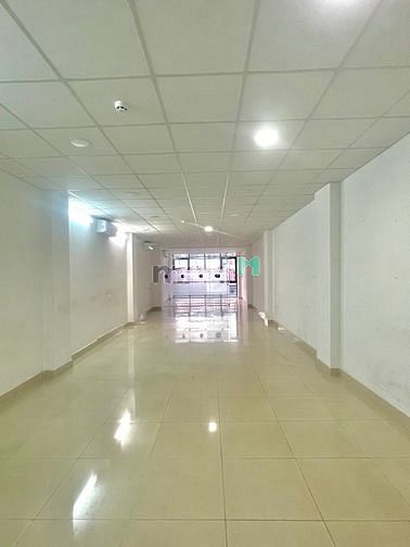 4647203 ảnh đại diện 2