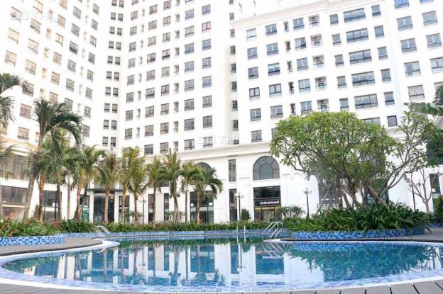 4648636 ảnh đại diện 1