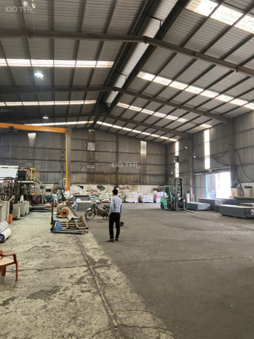 4647298 ảnh đại diện 1