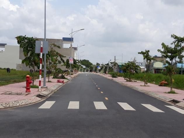 4648732 ảnh đại diện 1