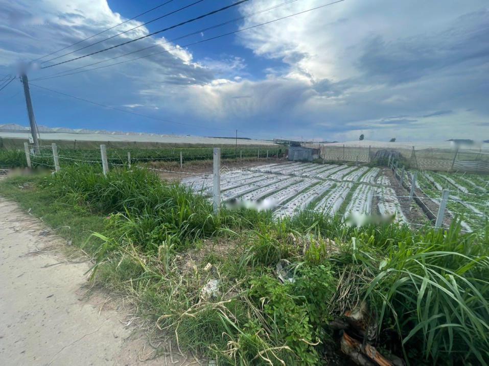 4646562 ảnh đại diện 1