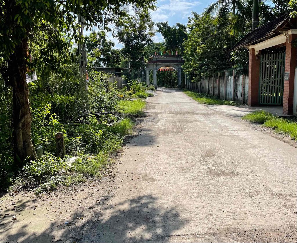 4648433 ảnh đại diện 1