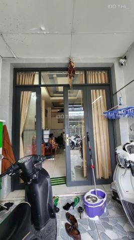 4646983 ảnh đại diện 1