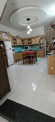 4648588 ảnh đại diện 2