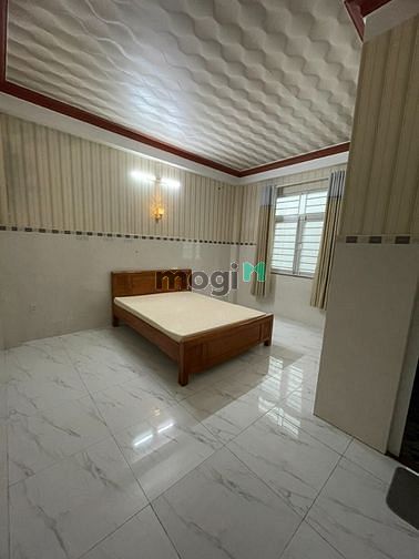 4648410 ảnh đại diện 2