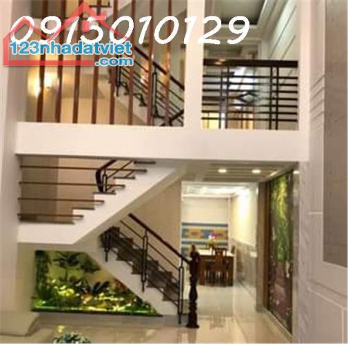 4648965 ảnh đại diện 1