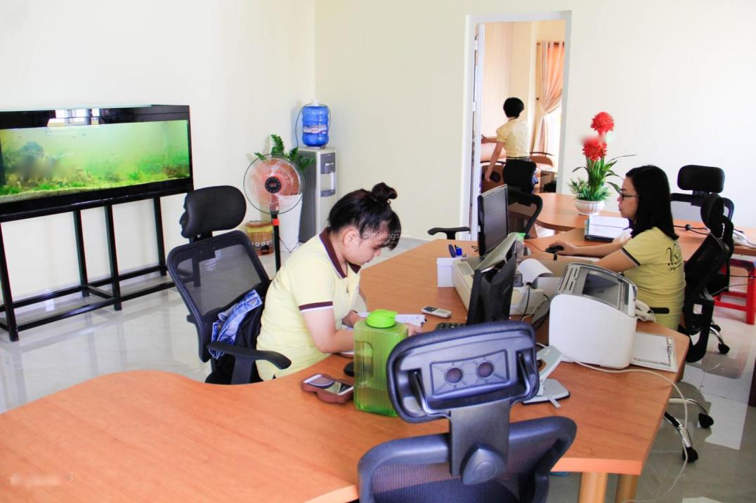 4648867 ảnh đại diện 2