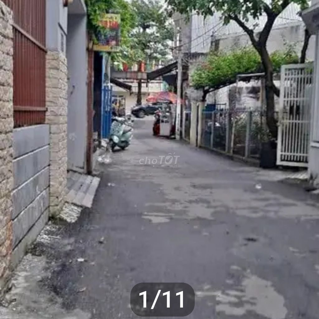 4647423 ảnh đại diện 1