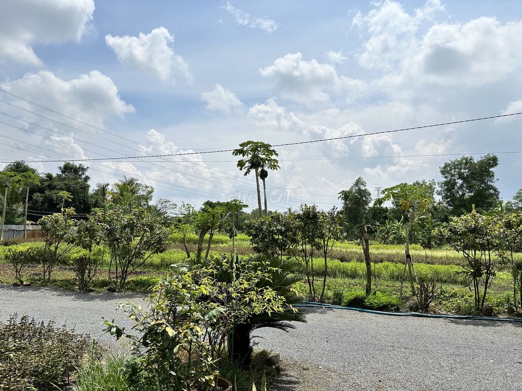 4647848 ảnh đại diện 1