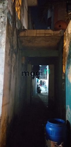 4648880 ảnh đại diện 1