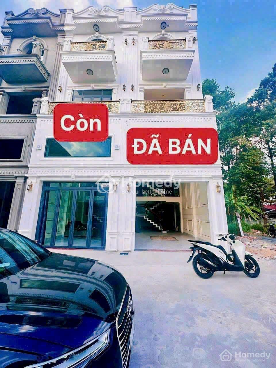 4646605 ảnh đại diện 1