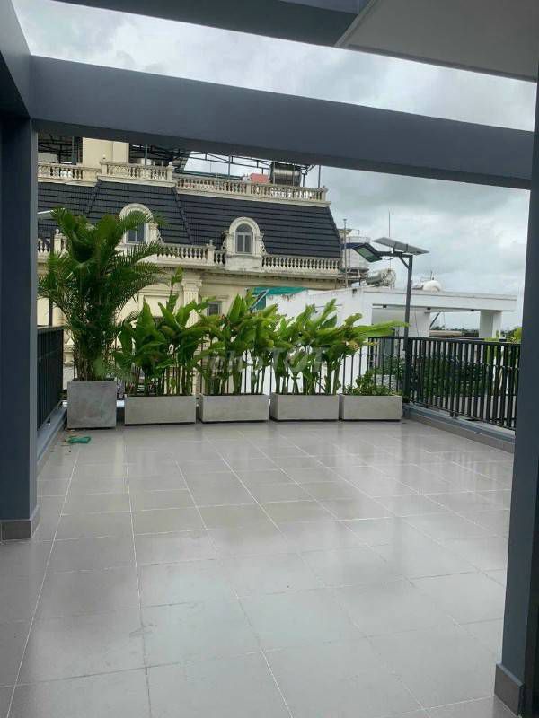 4648367 ảnh đại diện 2