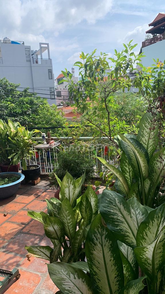 4648951 ảnh đại diện 2