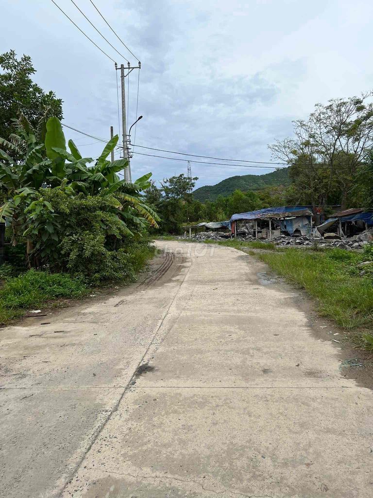 4648685 ảnh đại diện 2