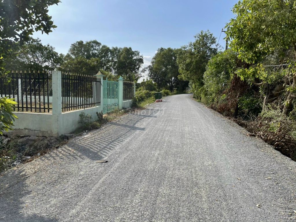4646234 ảnh đại diện 1