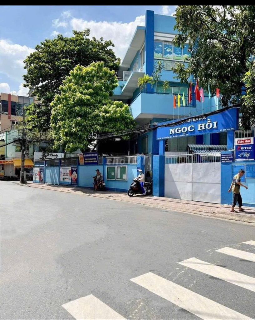 4648711 ảnh đại diện 1