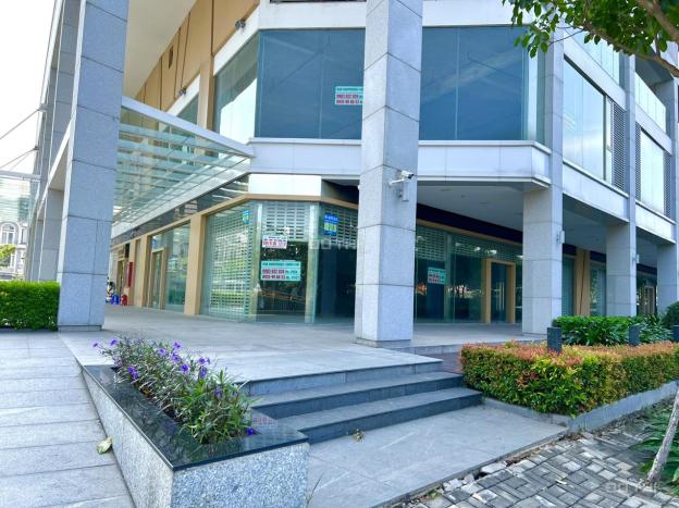 4648198 ảnh đại diện 1