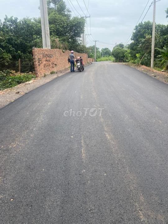 4648453 ảnh đại diện 2