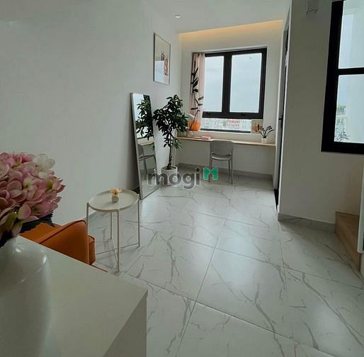 4648443 ảnh đại diện 1