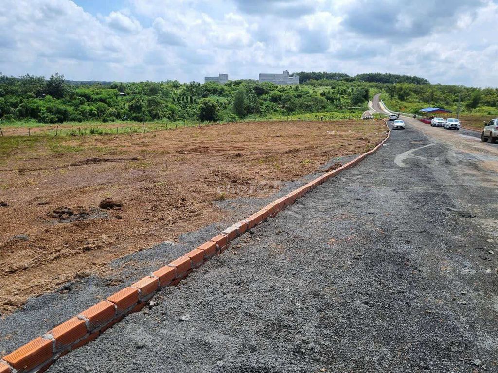 4646387 ảnh đại diện 1