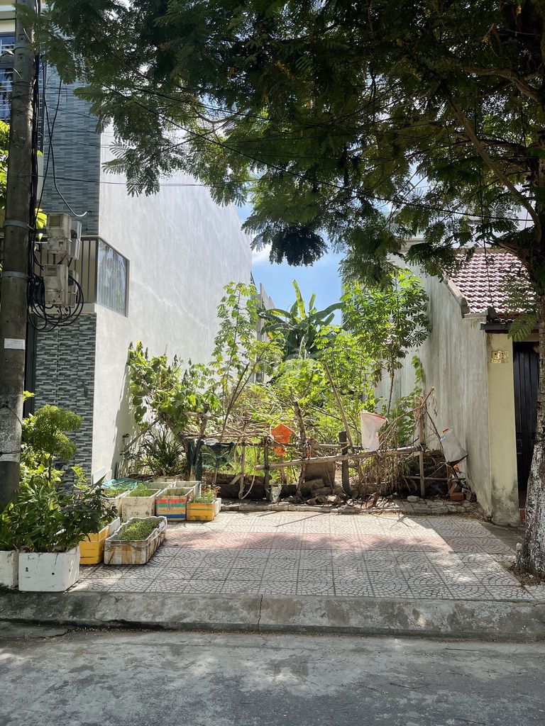 4647831 ảnh đại diện 2