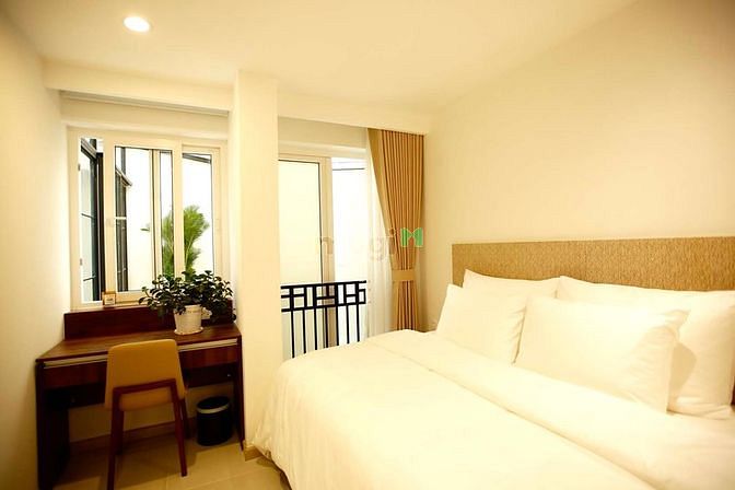 4648784 ảnh đại diện 2