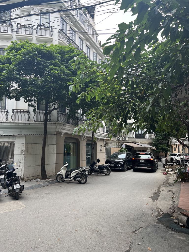 4648920 ảnh đại diện 2