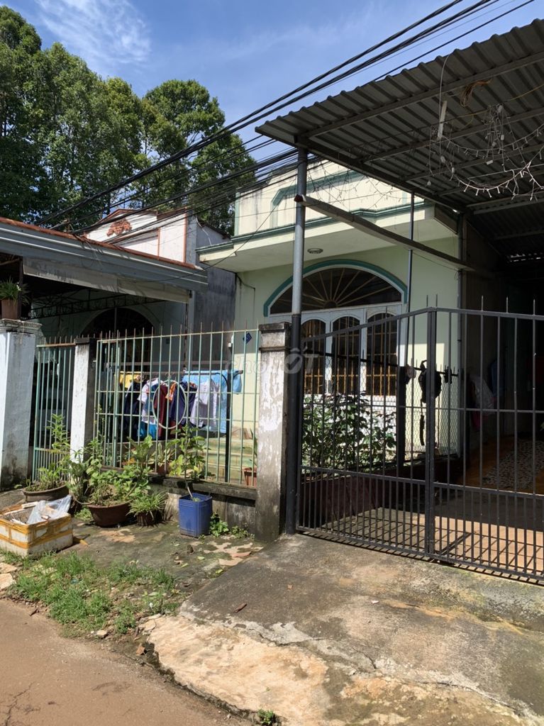 4648991 ảnh đại diện 2
