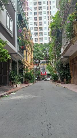 4648776 ảnh đại diện 2