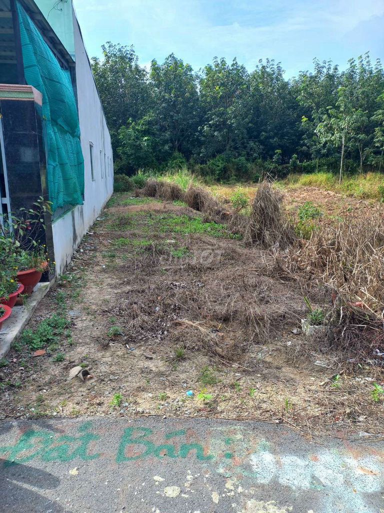 4648398 ảnh đại diện 1