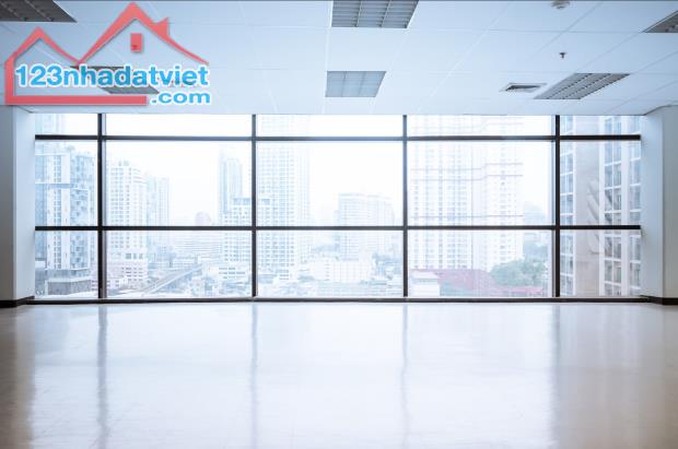 4646160 ảnh đại diện 1