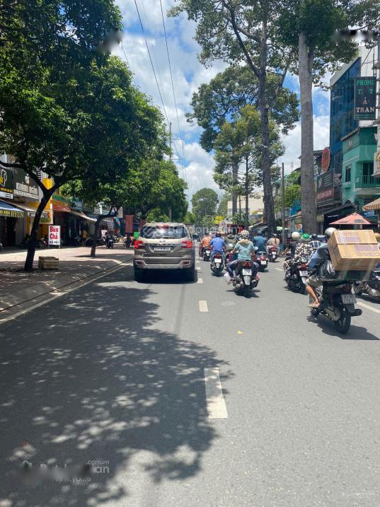 4648867 ảnh đại diện 1