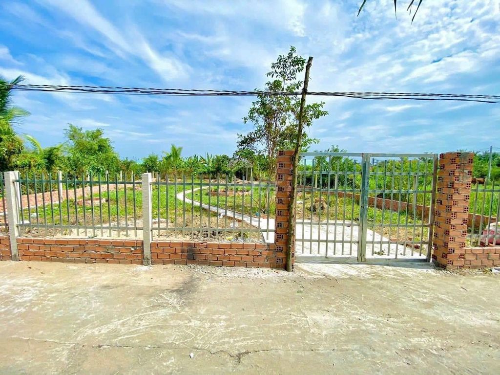 Bán Nhà Vườn Xã Phước Hậu, Cần Giuộc: 500M2 Có Sẵn Nhà Chồi
