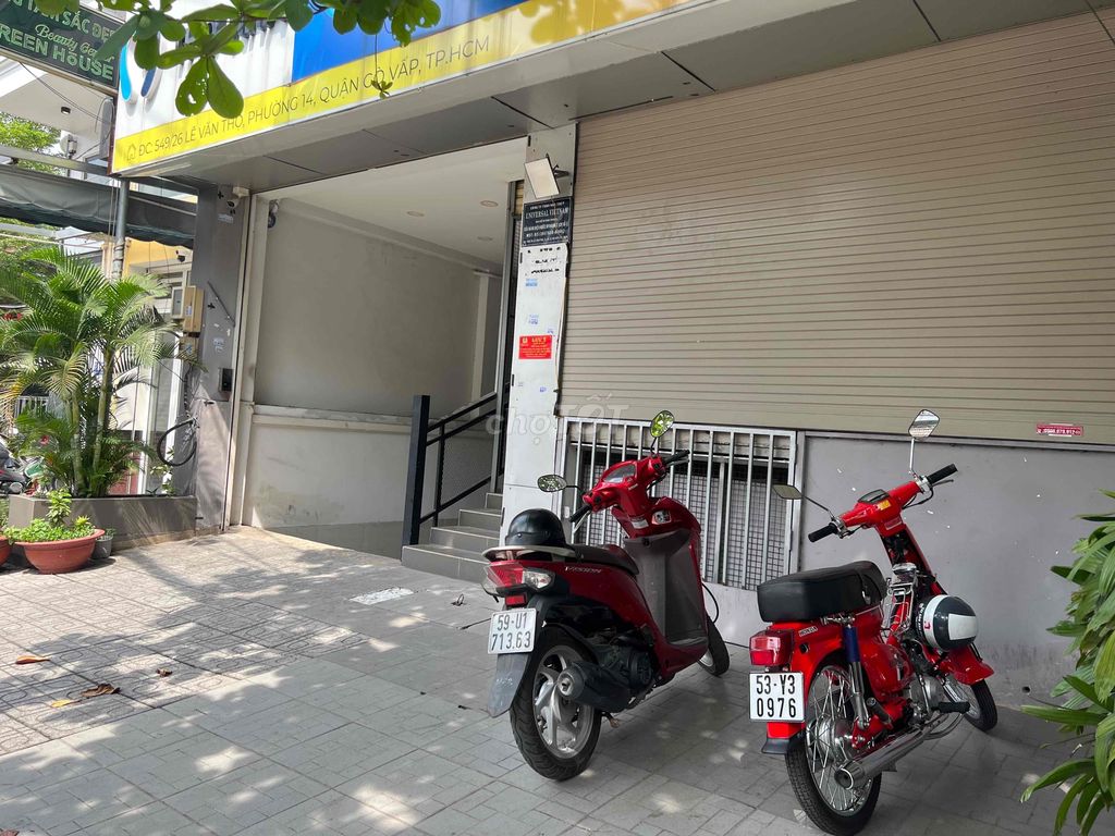 4657482 ảnh đại diện 2