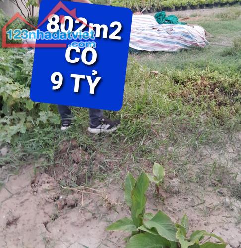 802M Đất Kdc Phú Nhuận Lê Thị Riêng Quận 12 Có 9 Tỷ