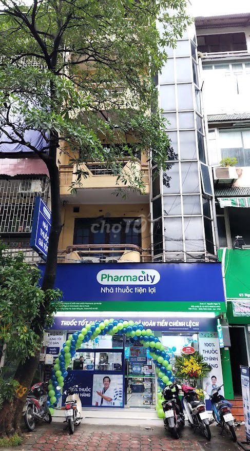 4661903 ảnh đại diện 2